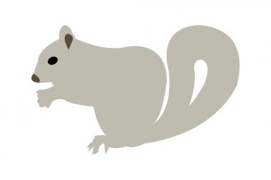 Dost gri sincap siluet