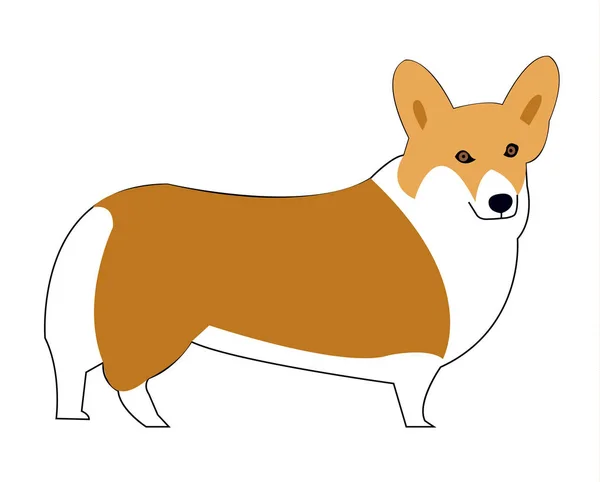 Galês Corgi Cão Desenho Animado Ilustração — Vetor de Stock