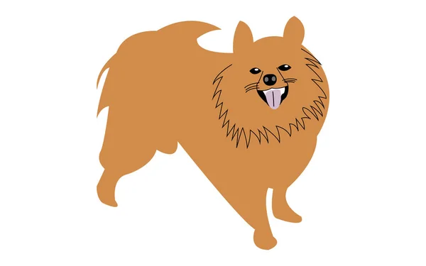 Bonito Cão Pomeranian Desenho Animado Ilustração — Vetor de Stock