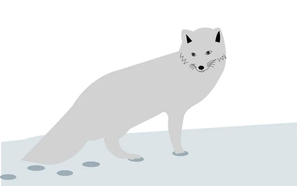 Raposa Ártica Ilustração Desenhos Animados Neve — Vetor de Stock