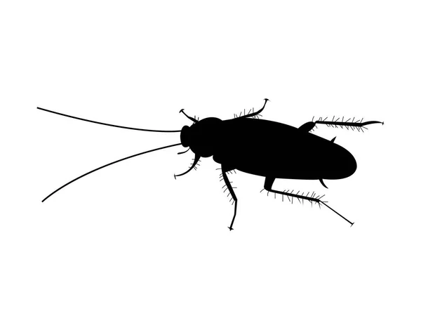 Απλό Μαύρη Κατσαρίδα Σιλουέτα — Διανυσματικό Αρχείο