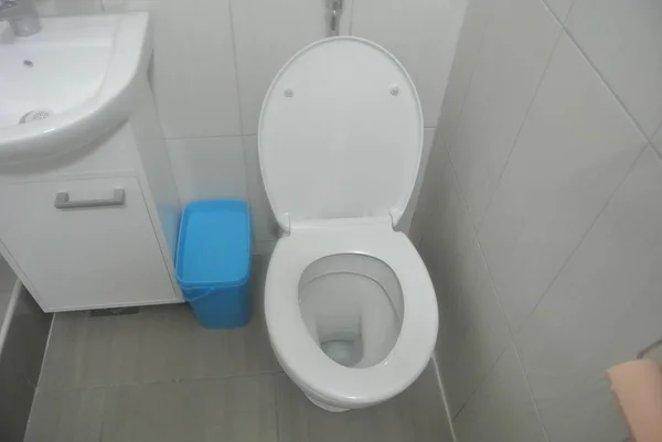Toilettensitz Badezimmer — Stockfoto