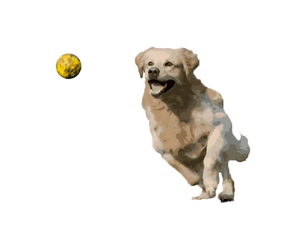 Hond Jagen Een Bal — Stockvector