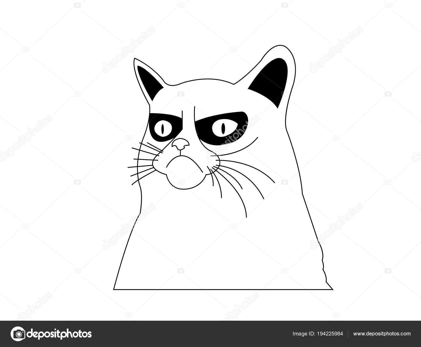 How To Draw Grumpy Cat Cartoon