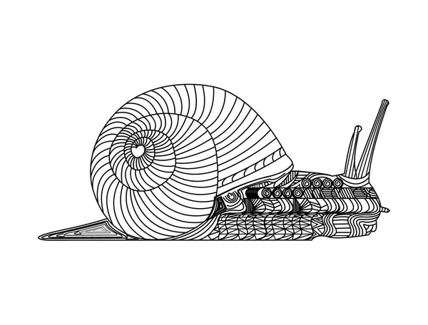 Caracol Decorado Con Concha — Archivo Imágenes Vectoriales