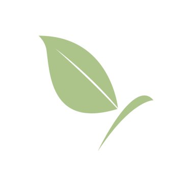 Beyaz yapraklı kuş