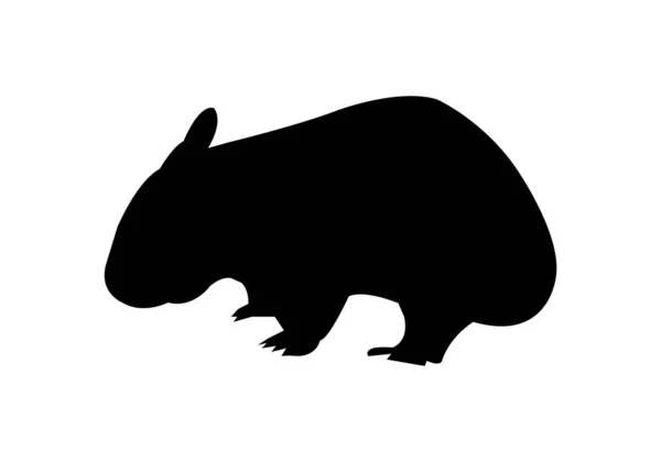 Wombat Icono Blanco — Vector de stock