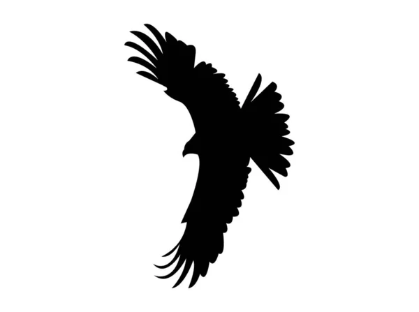 Silhouette Aigle Sur Blanc — Image vectorielle