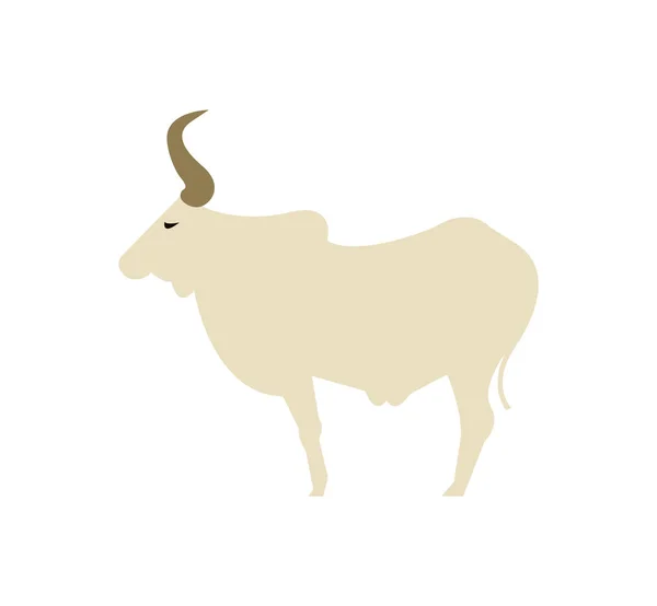 Vacca Zebù Bianco — Vettoriale Stock