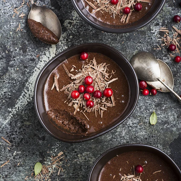 Házi készítésű finom csokoládé mousse-val áfonyás túrómousse csokoládéchips szolgáló kerámia tálak, szürke kő alapon. Szemközti nézet. — Stock Fotó