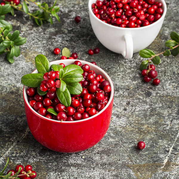 Fresh cranberry or cowberry, lingonberry top view