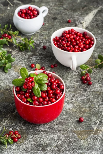 Fresh cranberry or cowberry, lingonberry top view — Stock Photo, Image
