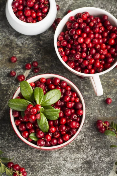 Fresh cranberry or cowberry, lingonberry top view — Stock Photo, Image