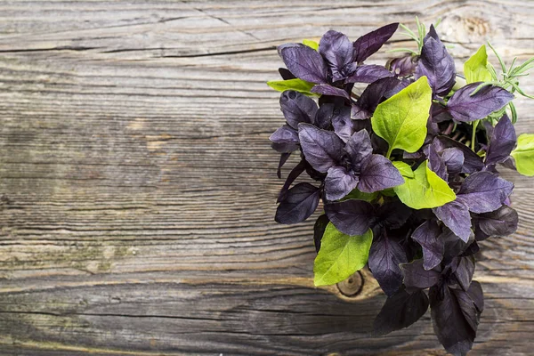 A bunch of fresh purple and green basil on a wooden kitchen table background with a top view. — Stock Photo, Image