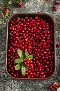 Taze olgun orman Kuzey kızılcık veya yabanmersini, İsveç kirazı, farklı boyut ve renk gri taş seramik bardak organik doğal sağlıklı gıda kavramı için arka plan yaşlı. Üstten Görünüm.