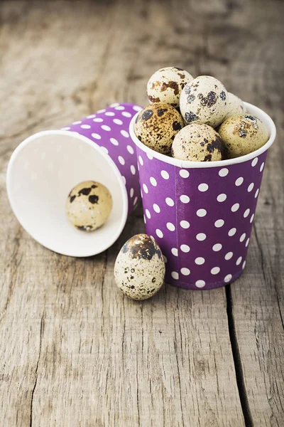 Quail eggs with paper cups with a pattern of polka dots — Stock Photo, Image