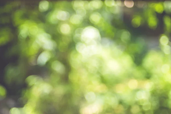 Wazig, achtergrond, Tree Abstract Green bokeh licht, natuur conc — Stockfoto