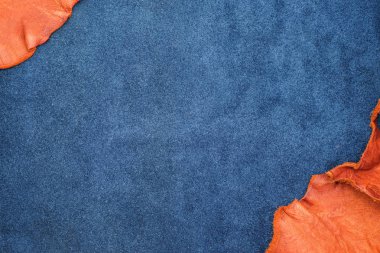 Turuncu kaba kenar ve iki s lacivert deri bölünmeyi kapatın