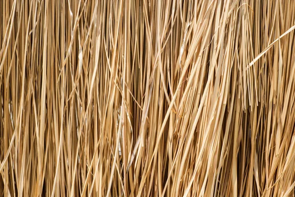 Close up yellow straw wall texture background — Stock Photo, Image