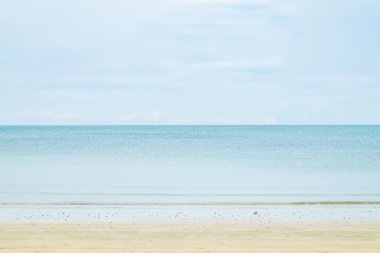 Deniz tarağı deniz ve plaj ile bulutlu gökyüzü