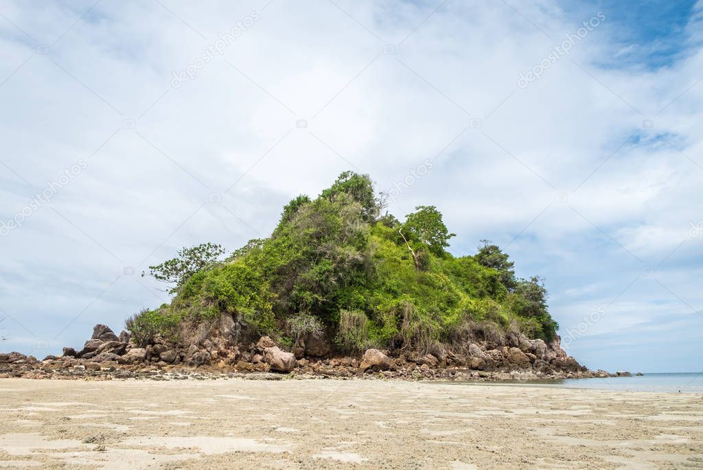 Rock island cover with tree at sea beach with blue sky and sand 