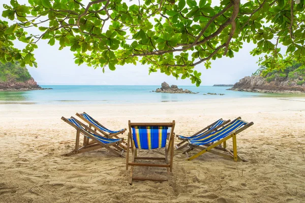 Baum im Vordergrund mit Strandbett auf Sand an der Meeresküste, Sommer — Stockfoto