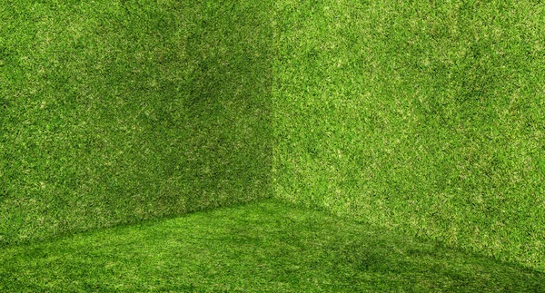 Boş yeşil çim duvar ve zemin köşe Stüdyo Oda arka plan, M — Stok fotoğraf