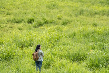 Yürüyüş ve bir beau zevk mutlu genç traveler kadın backpacker