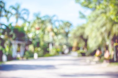 Park ağaç ve bokeh ışık ve yolu ile açık arka plan bulanıklık 