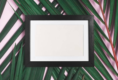 Üstten Görünüm boş siyah fotoğraf çerçevesi üzerinde pastel pi yeşil palmiye yaprağı