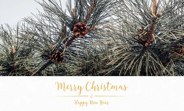 Merry christmas and happy new year typo glitter text  white pape — Stock Photo, Image