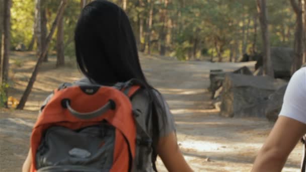 Couple fait une randonnée romantique dans la forêt — Video