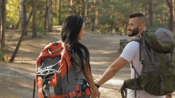 Dva turisté pokračuje, procházky v lese — Stock video