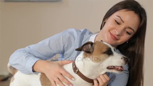 Женщина гладит собаку в ветеринарной клинике — стоковое видео