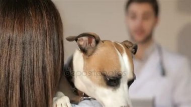 Köpek sahibi omuz onun dudaklarından açar