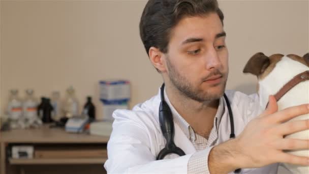 Lekarz weterynarii mężczyzna daje jedzenie do psa — Wideo stockowe