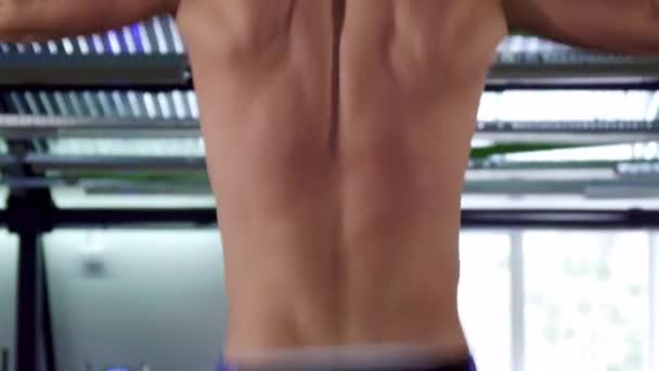 Man does pull ups at the gym — Stock Footage Man does pull ups at the gym Royalty Free Stock Footage