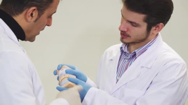 Due dentisti di sesso maschile discutono muffa della mascella presso la clinica dentale — Video Stock