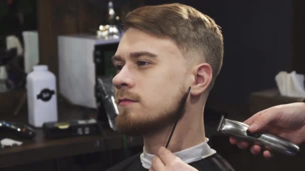 Молодой красивый мужчина, которому подстригает бороду профессиональный парикмахер — стоковое видео