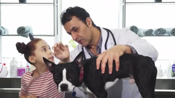 Professionell mogen veterinär undersöka hunden av en liten flicka på kliniken — Stockvideo