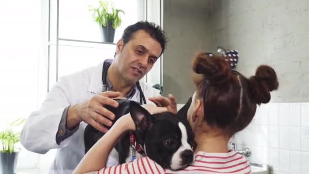 Зрелый профессиональный ветеринар разговаривает с маленькой девочкой, гладя ее собаку — стоковое видео