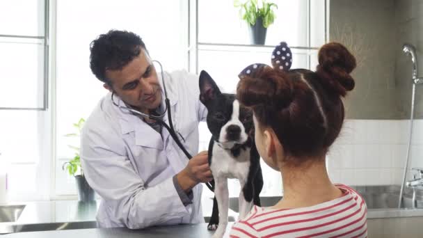 Profissional macho veterinário examinando cão de uma menina em seu escritório — Vídeo de Stock