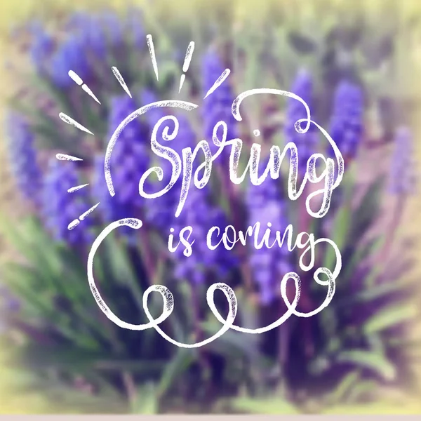 Spring is coming text — Stock Vector