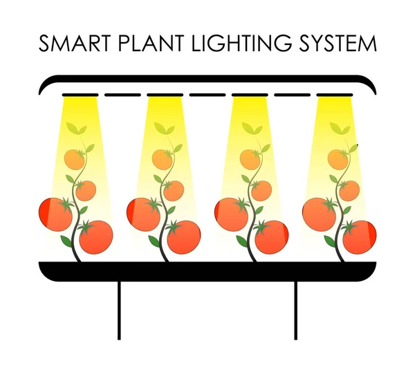 smart lighting system for plants in the greenhouse. Efficient agriculture, green technology. Isolated vector on white background