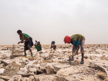 Afar erkekler tuz madencilik