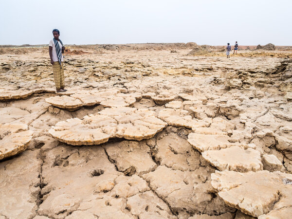 People walking across mineral soil