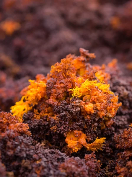 Lago di Dallol nella depressione di Danakil, Ehtiopia — Foto Stock