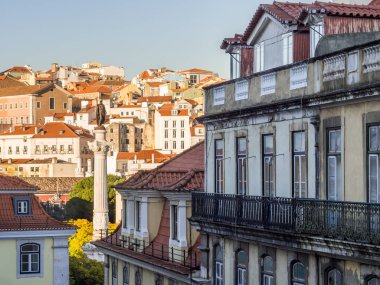 Lizbon 'da Pedro IV' ün Sütunları