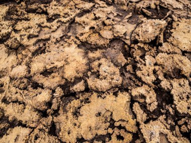 Dallol Danakil depresyon