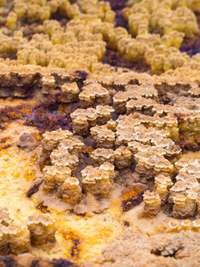Dallol Danakil depresyon